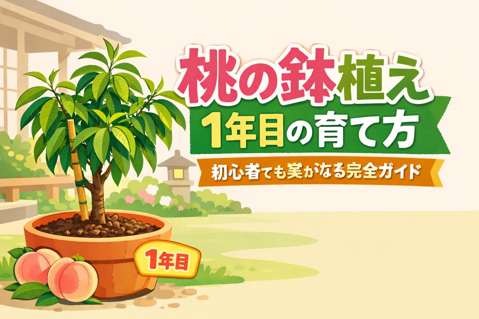 桃の鉢植え1年目の育て方 初心者向け完全ガイドのイラスト