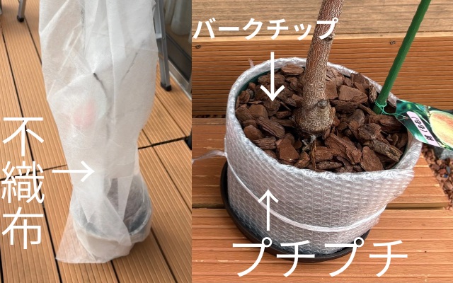 桃 苗木 寒さ対策