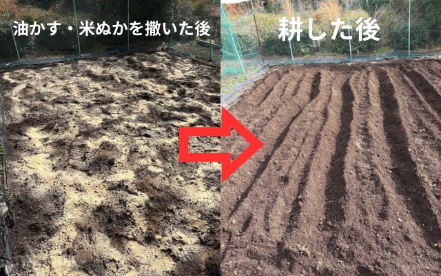 油かす　米ぬか　撒いた後　耕した後　土壌改良