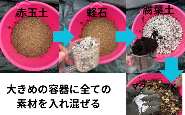 赤玉土 軽石 腐葉土 マグァンプk 容器に入れる
